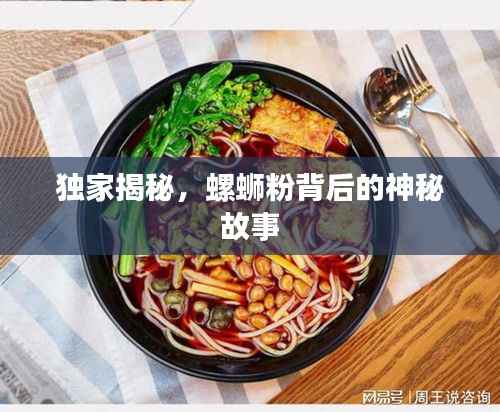 独家揭秘,螺蛳粉背后的神秘故事