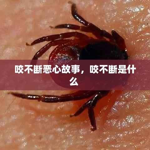 咬不断恶心故事,咬不断是什么