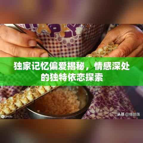 独家记忆偏爱揭秘,情感深处的独特依恋探索