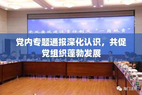 党内专题通报深化认识,共促党组织蓬勃发展