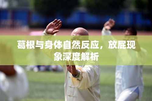 葛根与身体自然反应,放屁现象深度解析