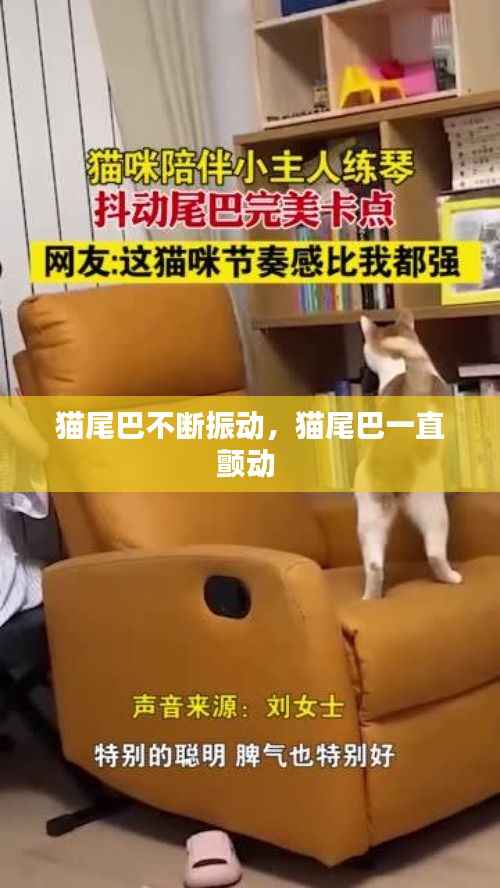 猫尾巴不断振动，猫尾巴一直颤动 