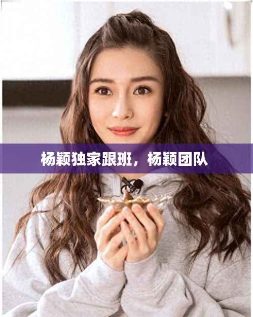 杨颖独家跟班，杨颖团队 