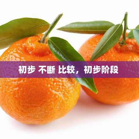 初步 不断 比较,初步阶段