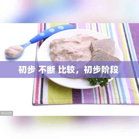 初步 不断 比较,初步阶段