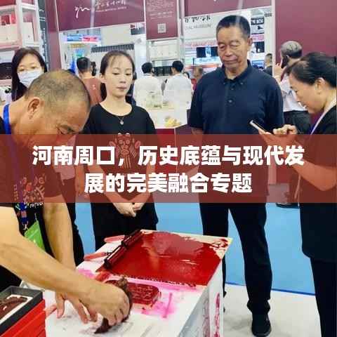 河南周口,历史底蕴与现代发展的完美融合专题