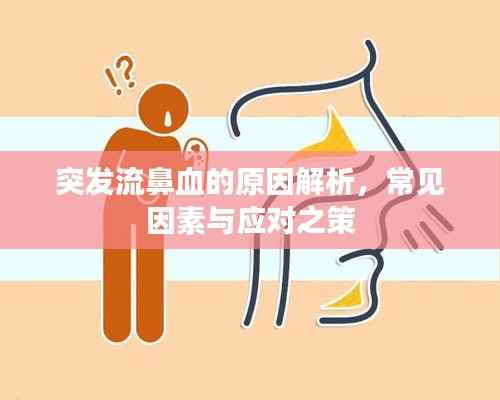 突发流鼻血的原因解析，常见因素与应对之策