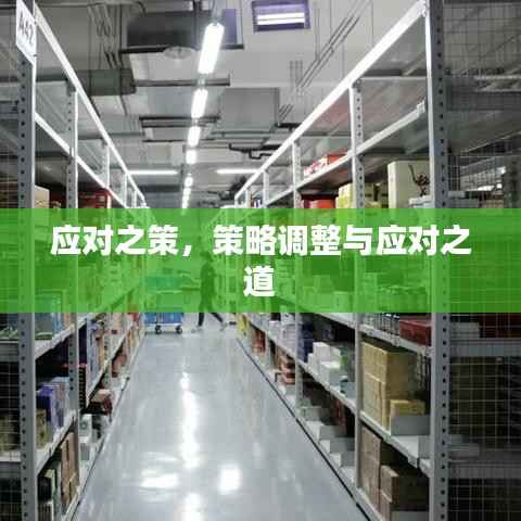 应对之策,策略调整与应对之道