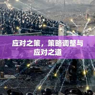 应对之策,策略调整与应对之道