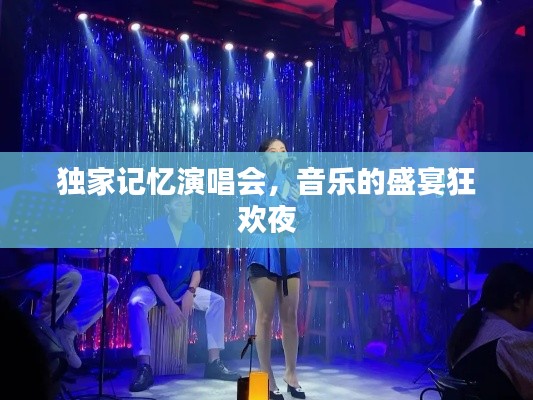 独家记忆演唱会，音乐的盛宴狂欢夜