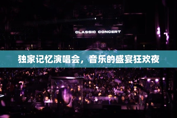 独家记忆演唱会,音乐的盛宴狂欢夜