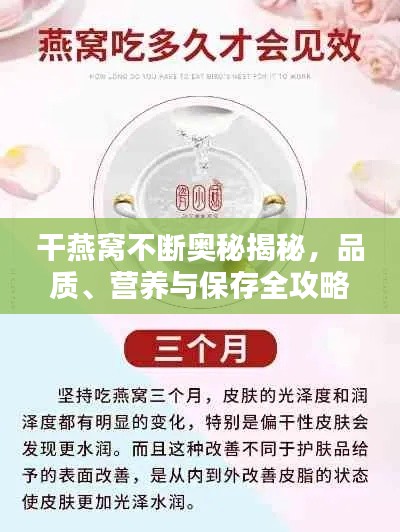 干燕窝不断奥秘揭秘,品质、营养与保存全攻略