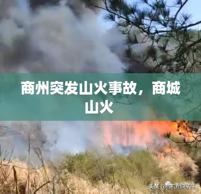 商州突发山火事故，商城山火 