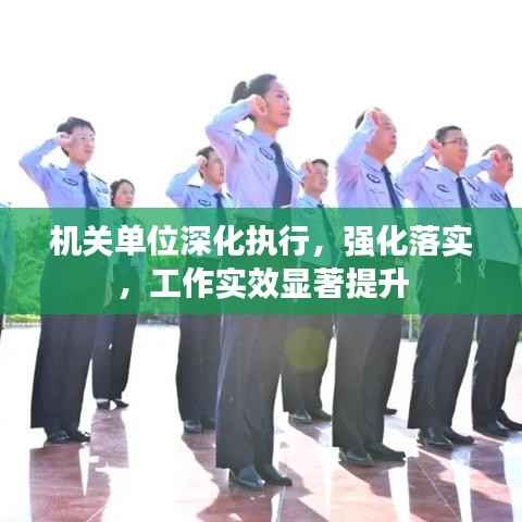 机关单位深化执行，强化落实，工作实效显著提升