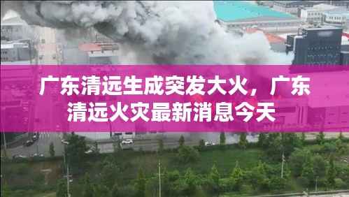 广东清远生成突发大火，广东清远火灾最新消息今天 