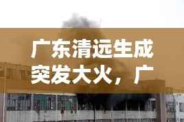广东清远生成突发大火,广东清远火灾最新消息今天