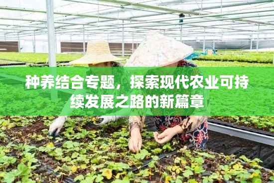 种养结合专题，探索现代农业可持续发展之路的新篇章