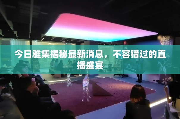 今日雅集揭秘最新消息,不容错过的直播盛宴