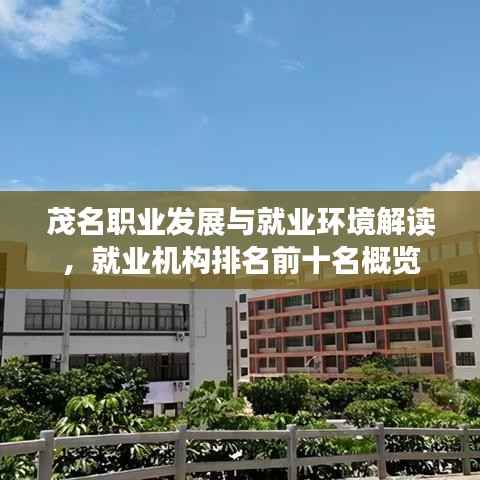 茂名职业发展与就业环境解读，就业机构排名前十名概览