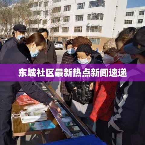 东城社区最新热点新闻速递