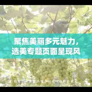 聚焦美丽多元魅力，选美专题页面呈现风采