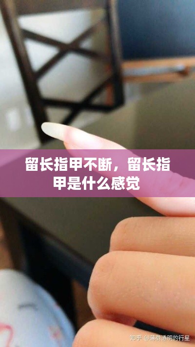 留长指甲不断，留长指甲是什么感觉 