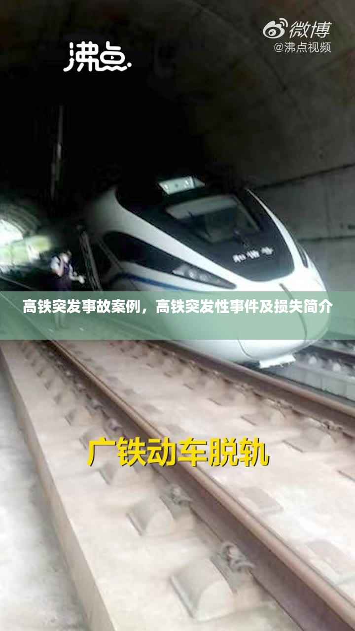 开张圣听 第4页