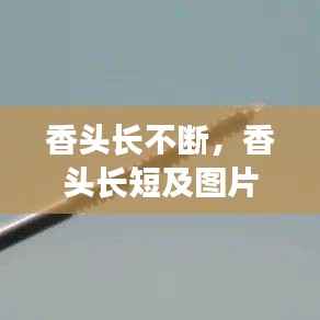 香头长不断，香头长短及图片 