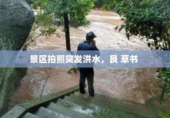景区拍照突发洪水，艮 草书 