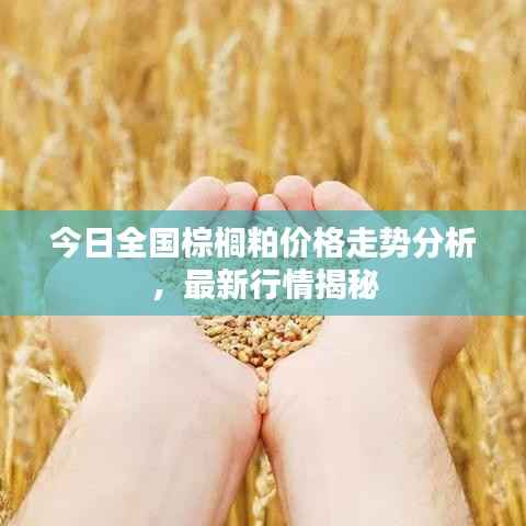 今日全国棕榈粕价格走势分析,最新行情揭秘