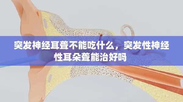 鸟为食亡 第5页