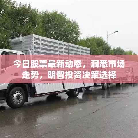 今日股票最新动态,洞悉市场走势,明智投资决策选择