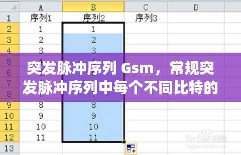 突发脉冲序列 Gsm，常规突发脉冲序列中每个不同比特的作用 