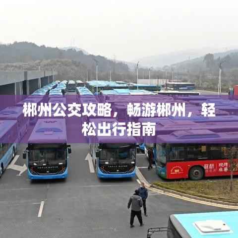 郴州公交攻略，畅游郴州，轻松出行指南