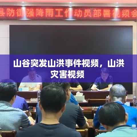 山谷突发山洪事件视频，山洪灾害视频 