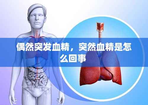 偶然突发血精，突然血精是怎么回事 