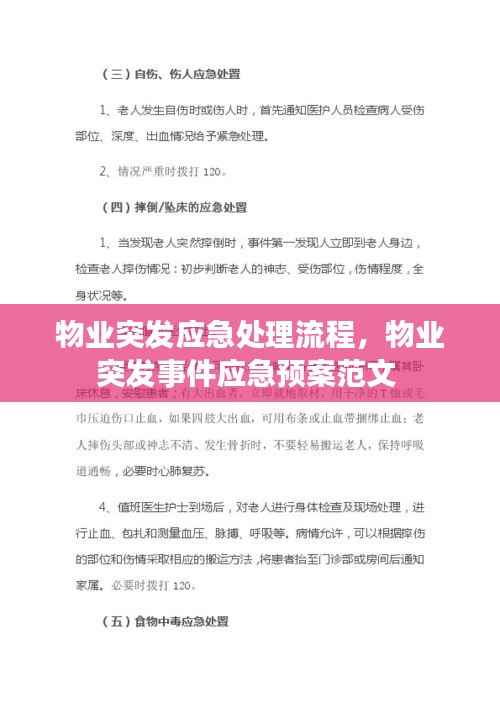 物业突发应急处理流程,物业突发事件应急预案范文