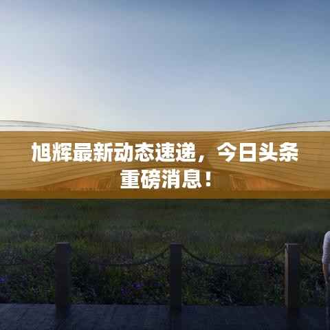 旭辉最新动态速递，今日头条重磅消息！