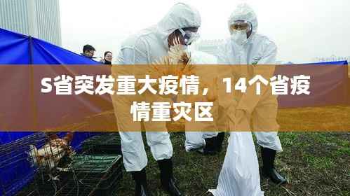 S省突发重大疫情,14个省疫情重灾区