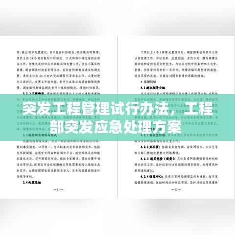 突发工程管理试行办法，工程部突发应急处理方案 