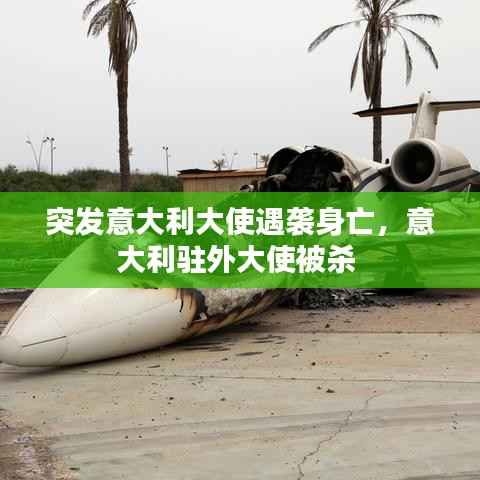 突发意大利大使遇袭身亡，意大利驻外大使被杀 