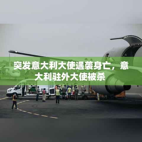 突发意大利大使遇袭身亡,意大利驻外大使被杀