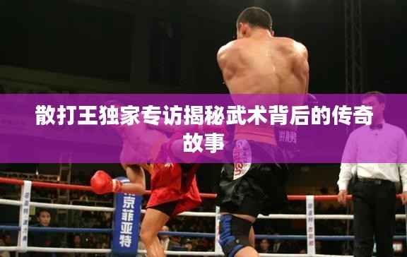 散打王独家专访揭秘武术背后的传奇故事