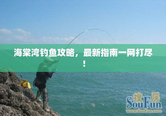海棠湾钓鱼攻略，最新指南一网打尽！