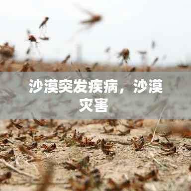 沙漠突发疾病,沙漠灾害