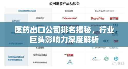 医药出口公司排名揭秘，行业巨头影响力深度解析