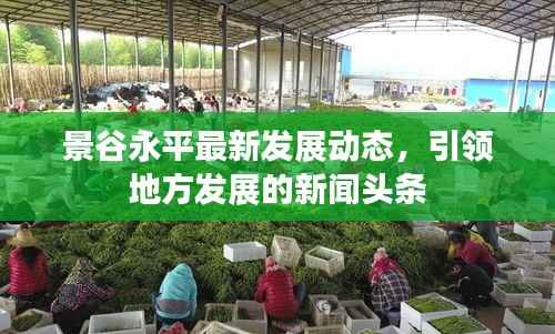 景谷永平最新发展动态,引领地方发展的新闻头条
