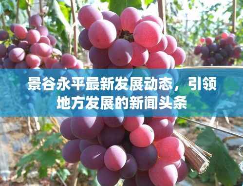 景谷永平最新发展动态,引领地方发展的新闻头条