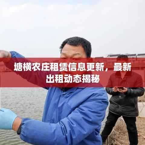 塘横农庄租赁信息更新,最新出租动态揭秘