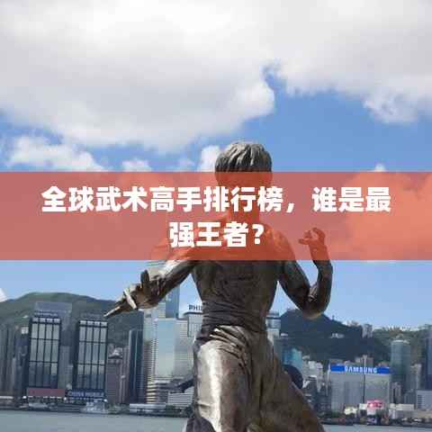 全球武术高手排行榜，谁是最强王者？